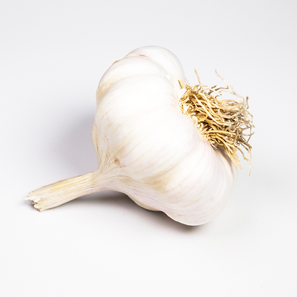 Garlic Mersley Wight